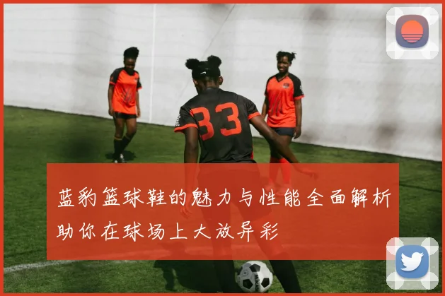 蓝豹篮球鞋的魅力与性能全面解析助你在球场上大放异彩