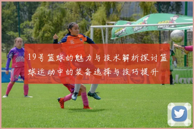19号篮球的魅力与技术解析探讨篮球运动中的装备选择与技巧提升