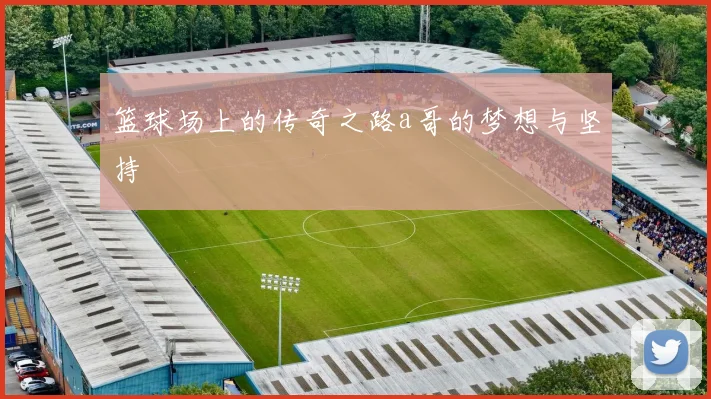 篮球场上的传奇之路a哥的梦想与坚持