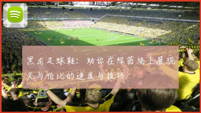 黑龙足球鞋：助你在绿茵场上展现无与伦比的速度与技巧