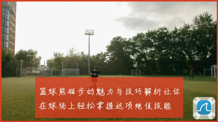 篮球熊猫步的魅力与技巧解析让你在球场上轻松掌握这项绝佳技能