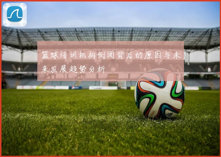 篮球培训机构倒闭背后的原因与未来发展趋势分析